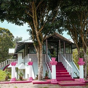 Punarjani Ayurvedic Resorts